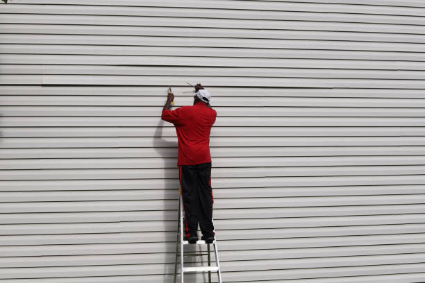 Best Hoarding Cleanup  in Sebree, KY